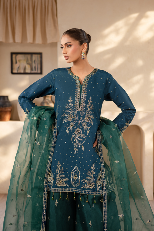 Emaan Adeel | Noore Festive Formals | LAVEEN XL Zinc Raw Silk