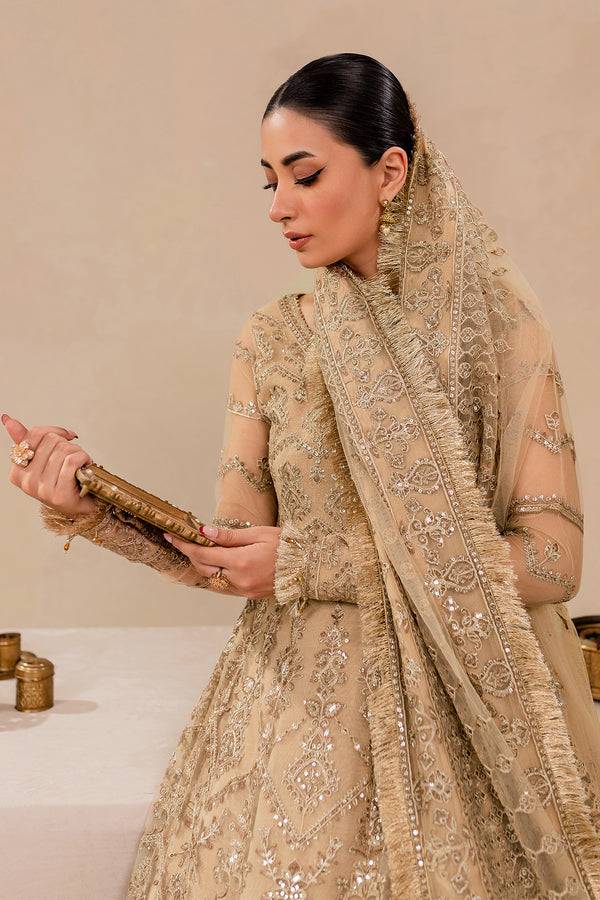 Farasha | Lumiere Formals | DREAMT FLAIR - Pakistani Designer Dress - by Farasha | Type: Luxury - 100% Original at Saira Sultan