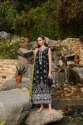 Noor by Saadia Asad | Luxe Chikankari 25 | D3-B S Black Lawn