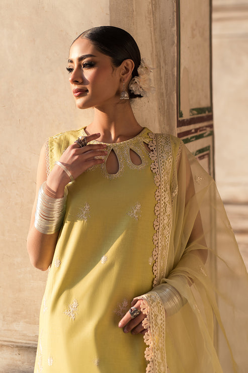 Zarposh | Shalamar Lawn | Heer - Pakistani Designer Dress - by Zarposh | Type: Luxury - 100% Original at Saira Sultan