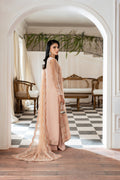 Azzal | Mishri Formals | Adah S Powder Peach Organza
