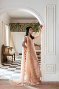 Azzal | Mishri Formals | Adah XL Powder Peach Organza