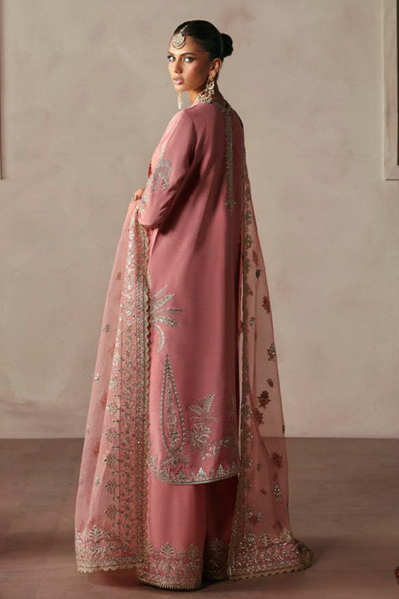 Afrozeh | Divani Silk Edit 25 | Gulrukh XS Powder Pink Raw Silk