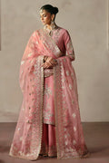 Afrozeh | Divani Silk Edit 25 | Gulrukh XS Powder Pink Raw Silk