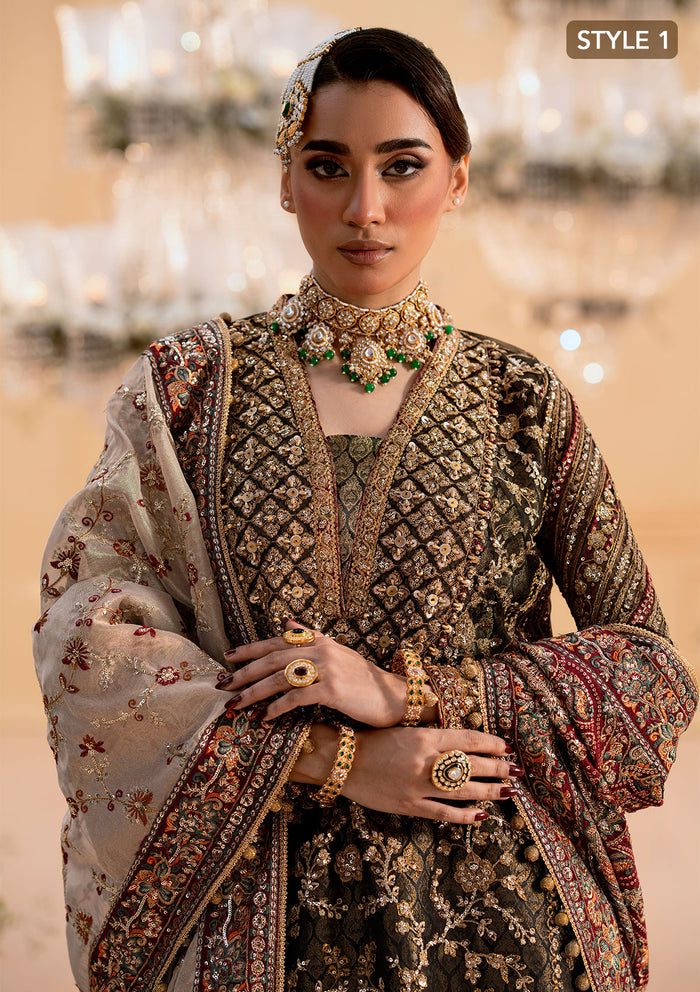 Aik Atelier | Wedding Festive 25 | LOOK 04 S Organza LONG SHIRT WITH GHARARA