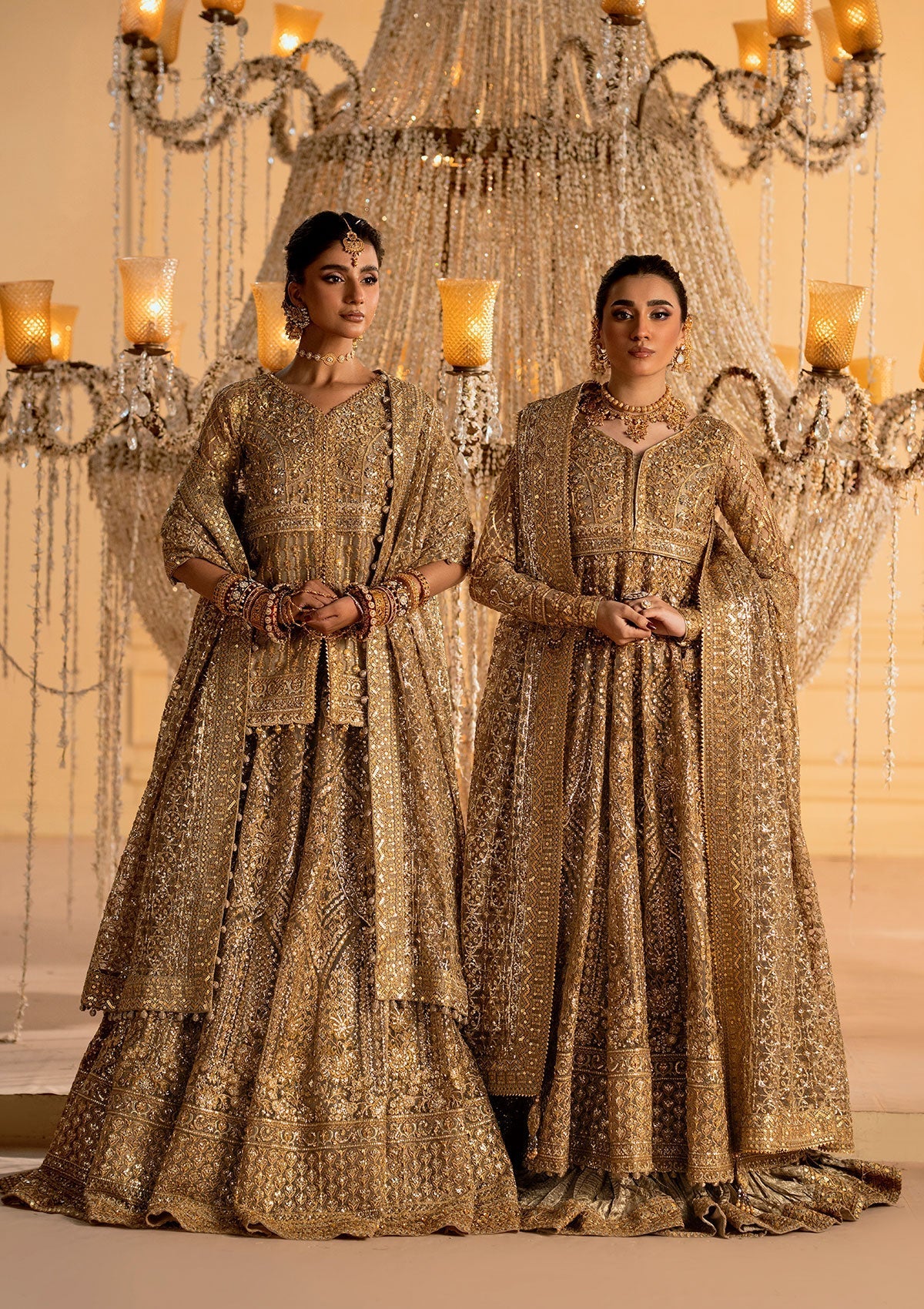 Aik Atelier | Wedding Festive 25 | LOOK 05 XS Net KALIDAR WITH CRUSHED SKIRT