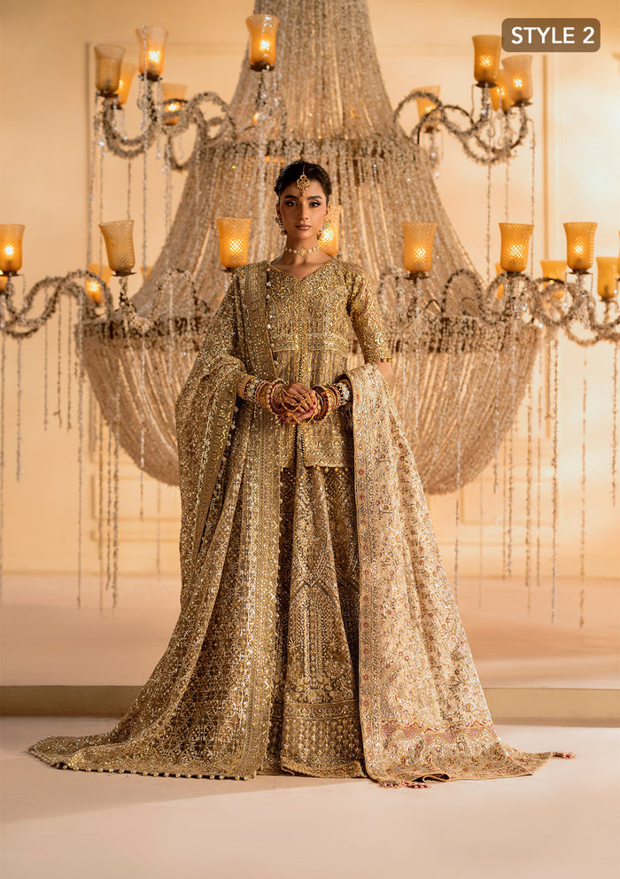 Aik Atelier | Wedding Festive 25 | LOOK 05 XS Net KALIDAR WITH CRUSHED SKIRT