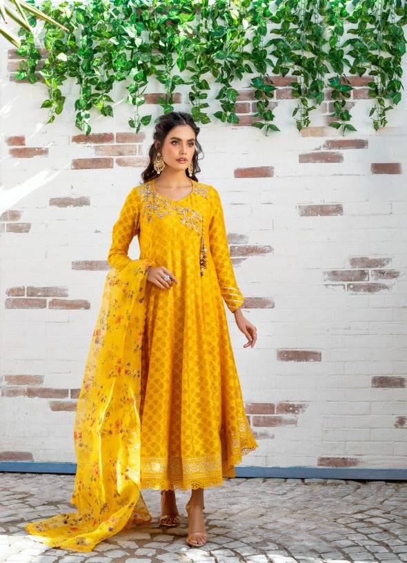 Anam Akhlaq | Festive Collection | D-12 - Pakistani Designer Dress - by Anam Akhlaq | Type: Formal - 100% Original at Saira Sultan