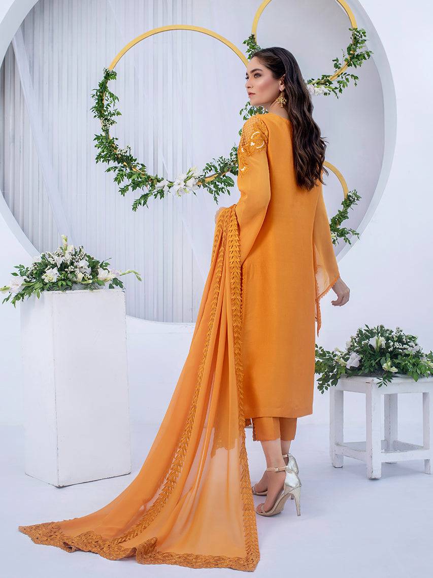 Anam Akhlaq | Festive Collection | D-03 - Pakistani Designer Dress - by Anam Akhlaq | Type: Formal - 100% Original at Saira Sultan