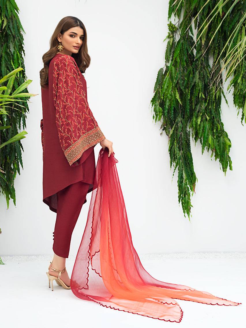 Anam Akhlaq | Festive Collection | D-06 - Pakistani Designer Dress - by Anam Akhlaq | Type: Formal - 100% Original at Saira Sultan