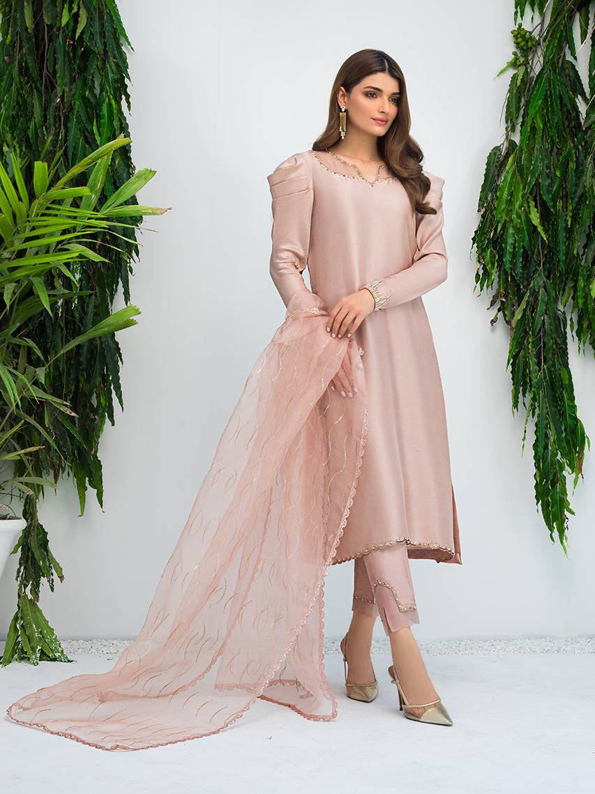 Anam Akhlaq | Festive Collection | D-09 - Pakistani Designer Dress - by Anam Akhlaq | Type: Formal - 100% Original at Saira Sultan