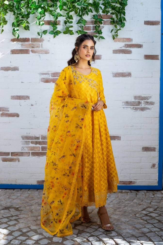 Anam Akhlaq | Festive Collection | D-12 - Pakistani Designer Dress - by Anam Akhlaq | Type: Formal - 100% Original at Saira Sultan