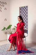 Anam Akhlaq | Festive Collection | D-13 - Pakistani Designer Dress - by Anam Akhlaq | Type: Formal - 100% Original at Saira Sultan