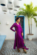Anam Akhlaq | Festive Collection | D-14 - Pakistani Designer Dress - by Anam Akhlaq | Type: Formal - 100% Original at Saira Sultan