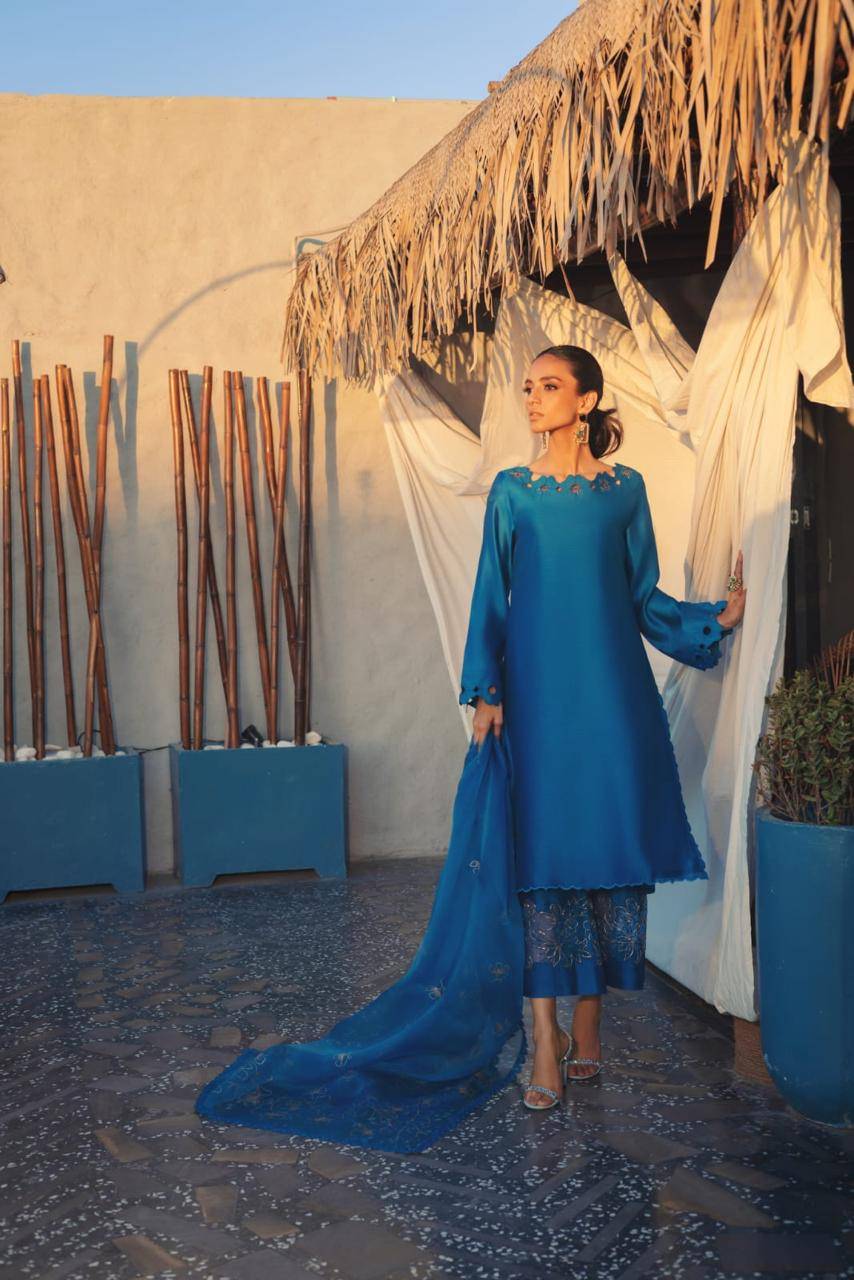 Anam Akhlaq | Festive Collection | D-50 - Pakistani Designer Dress - by Anam Akhlaq | Type: Formal - 100% Original at Saira Sultan