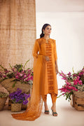Anam Akhlaq | Festive Collection | D-39 - Pakistani Designer Dress - by Anam Akhlaq | Type: Formal - 100% Original at Saira Sultan