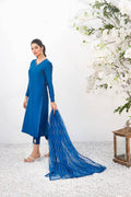 Anam Akhlaq | Festive Collection | D-17 - Pakistani Designer Dress - by Anam Akhlaq | Type: Formal - 100% Original at Saira Sultan