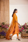 Anam Akhlaq | Festive Collection | D-39 - Pakistani Designer Dress - by Anam Akhlaq | Type: Formal - 100% Original at Saira Sultan