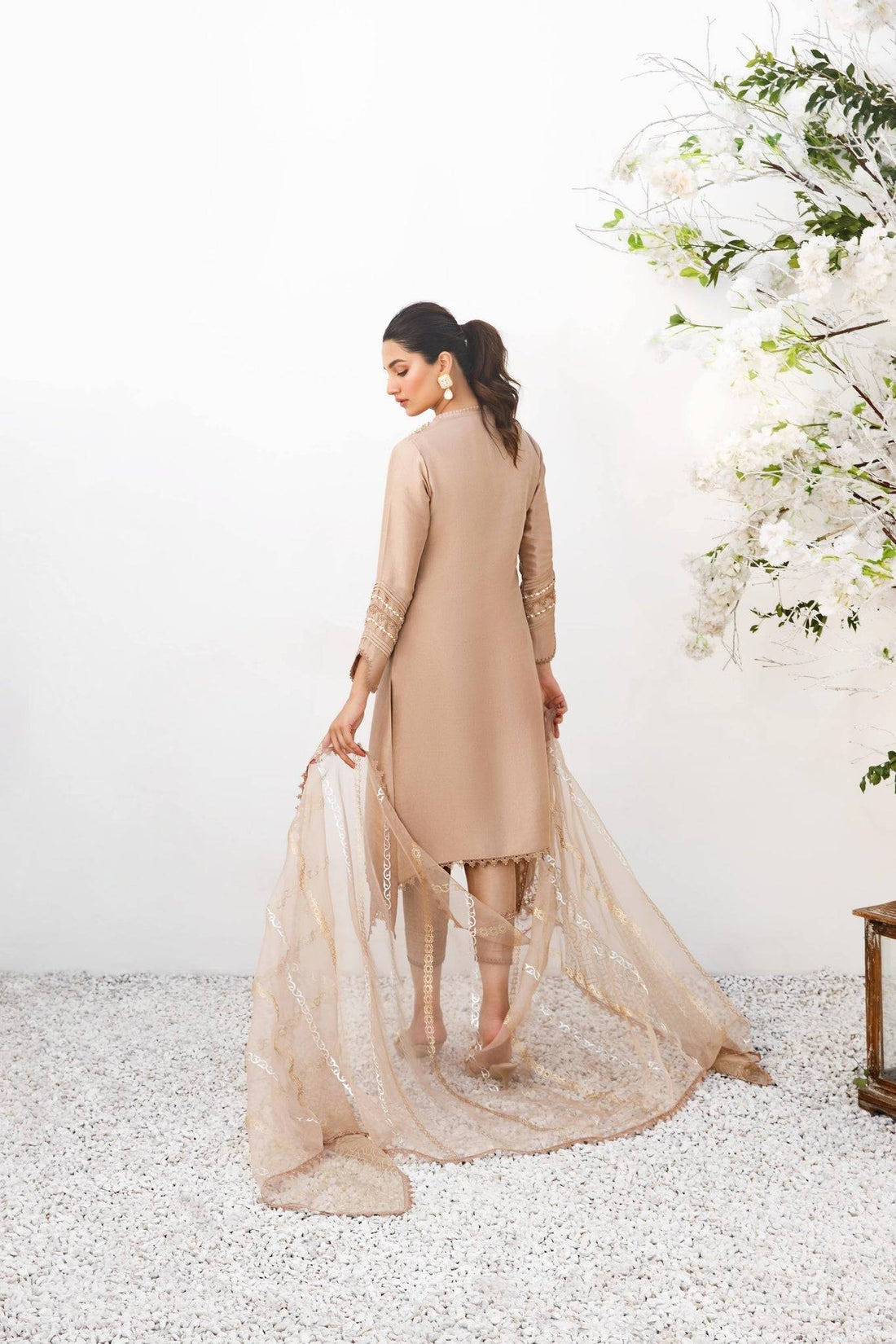 Anam Akhlaq | Festive Collection | D-18 - Pakistani Designer Dress - by Anam Akhlaq | Type: Formal - 100% Original at Saira Sultan