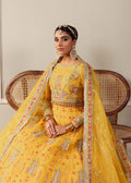 Dastoor | Airah Festive 25 | Solstice M Yellow Net