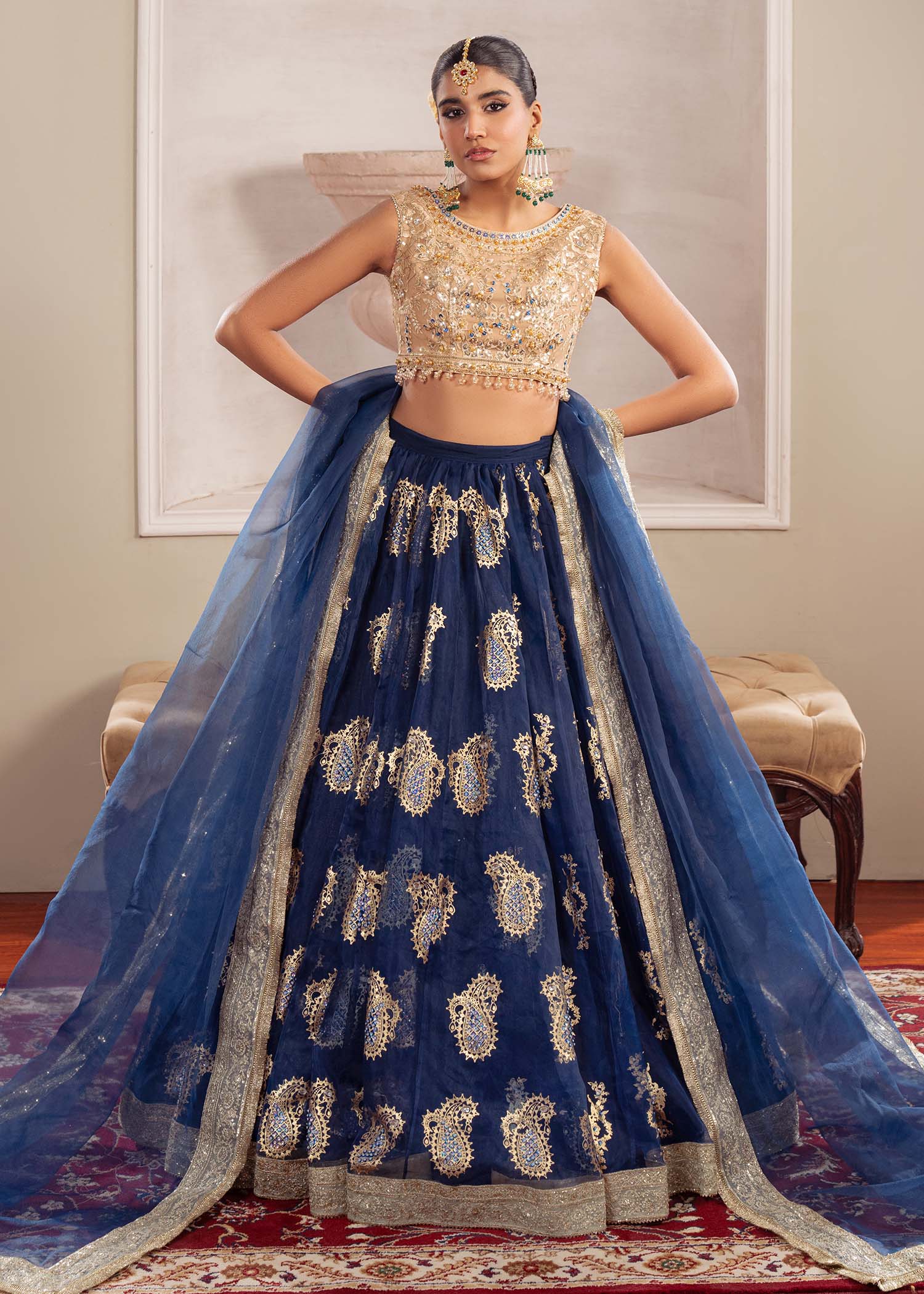 Dastoor | Airah Festive 25 | Radiance L Beige Net