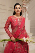 Maryams | Tabeer Luxury Collection | Alyzeh XL Coral Pink Organza