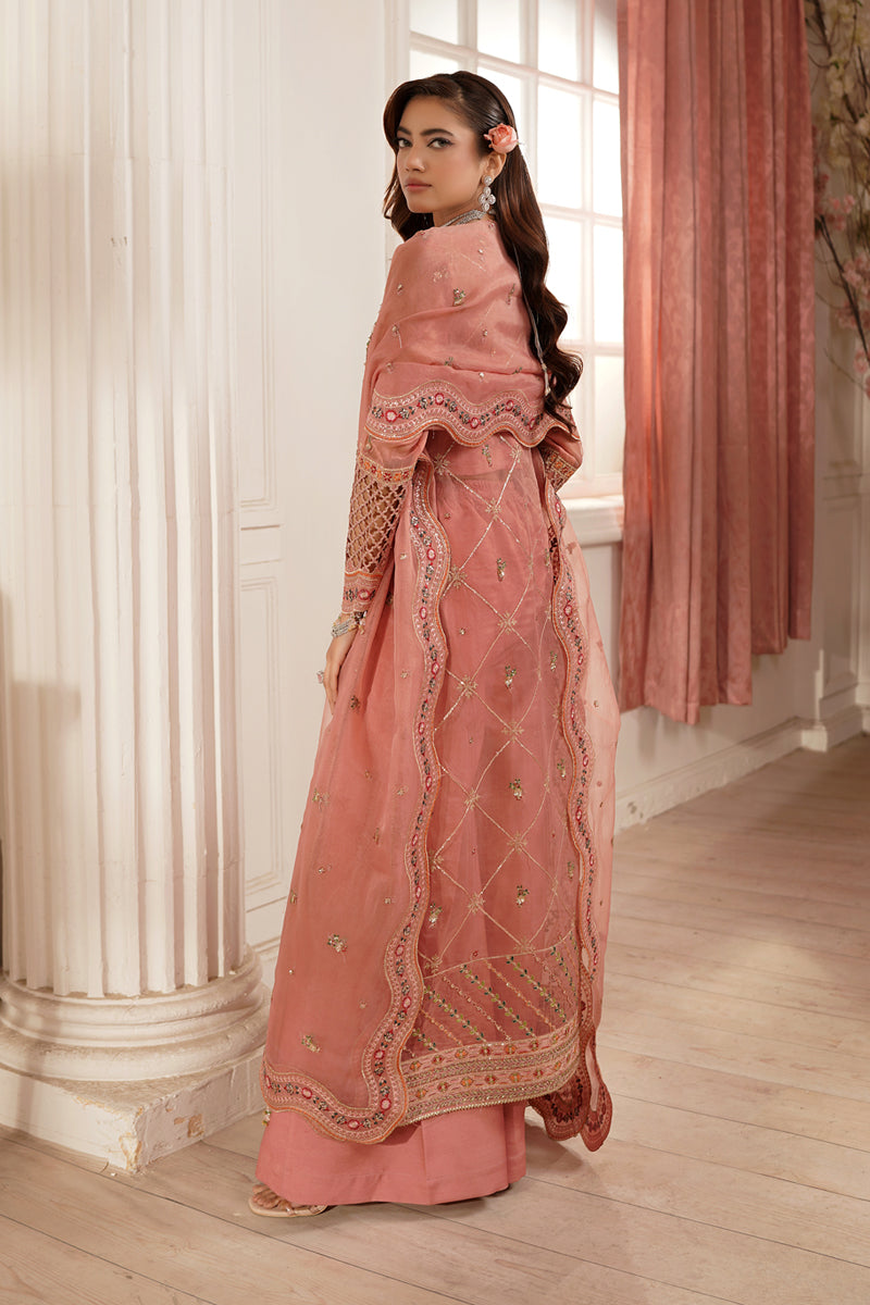 Maryams | Tabeer Luxury Collection | Sibel XS Soft Pink Organza