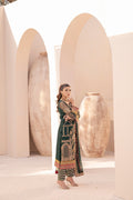 House of Nawab | Miorah Formals | ZIDHAR - A - Pakistani Designer Dress - by House of Nawab | Type: Ladies Clothes - 100% Original at Saira Sultan