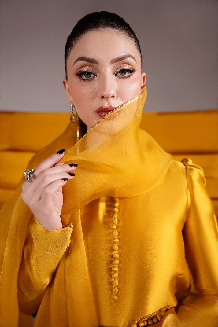 Raja Salahuddin | House of Mina |Daisy - Pakistani Designer Dress - by Raja Salahuddin | Type: Ladies Clothes - 100% Original at Saira Sultan