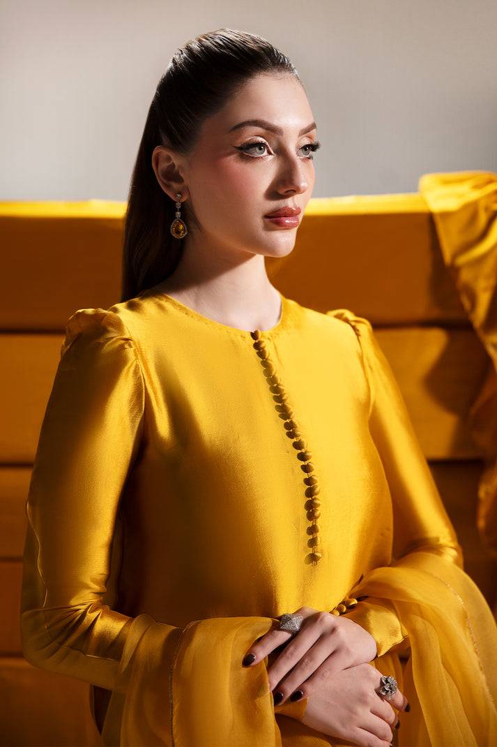Raja Salahuddin | House of Mina |Daisy - Pakistani Designer Dress - by Raja Salahuddin | Type: Ladies Clothes - 100% Original at Saira Sultan