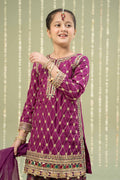 Maria B | 3 Piece Embroidered Raw Silk Suit | MKS-W24-28 6-Apr Purple