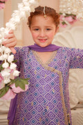 Maria B | 3 Piece Embroidered Raw Silk Suit | MKS-W24-20 8-Jun Purple