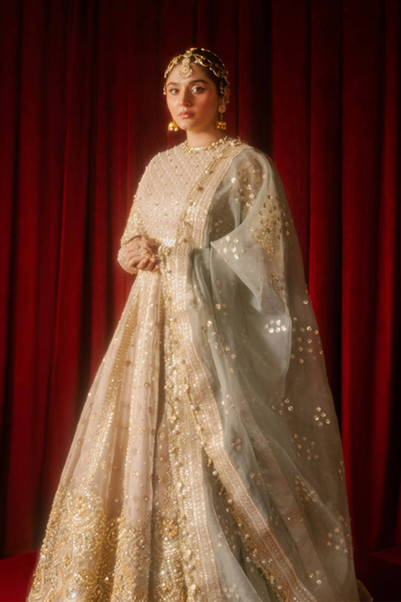 MNR | Zarlish Festive Formals | Shabnami XL Beige Organza