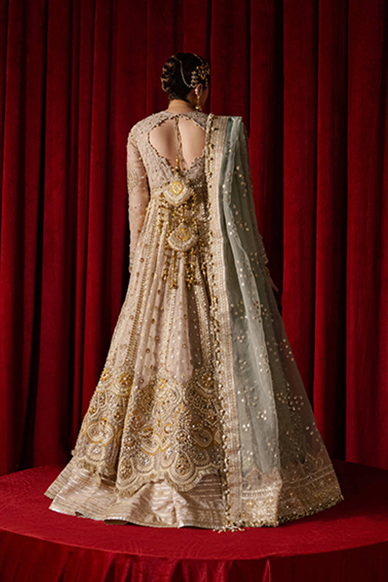 MNR | Zarlish Festive Formals | Shabnami XS Beige Organza
