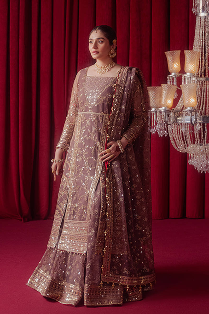 MNR | Zarlish Festive Formals | Dil Nasheen XS Lilac Gray Organza