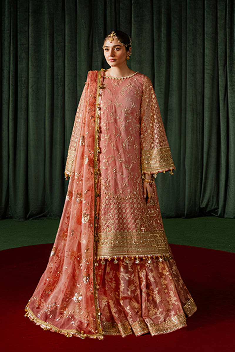 MNR | Zarlish Festive Formals | Guriya Rani XS Ash Pink Organza