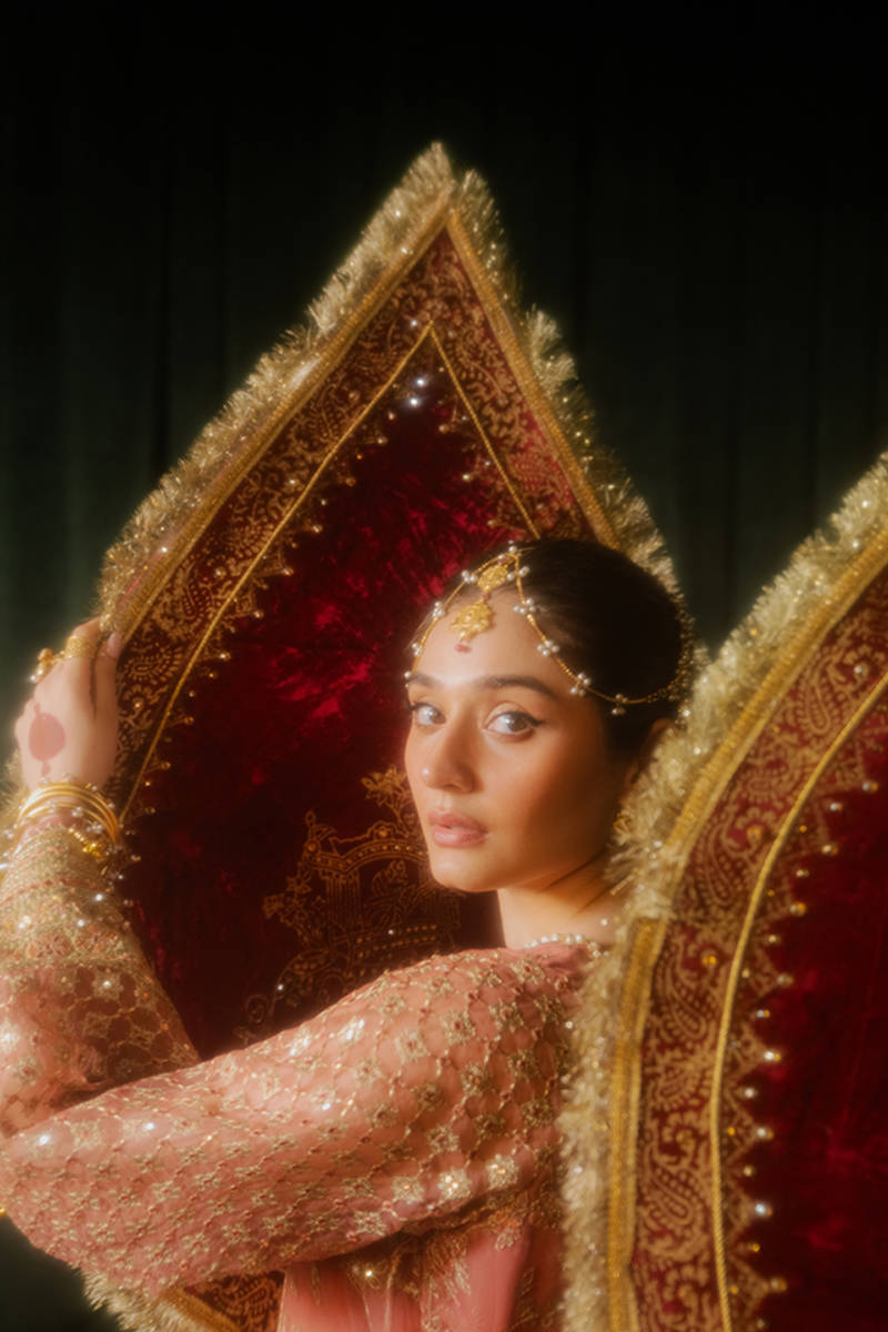 MNR | Zarlish Festive Formals | Guriya Rani XL Ash Pink Organza