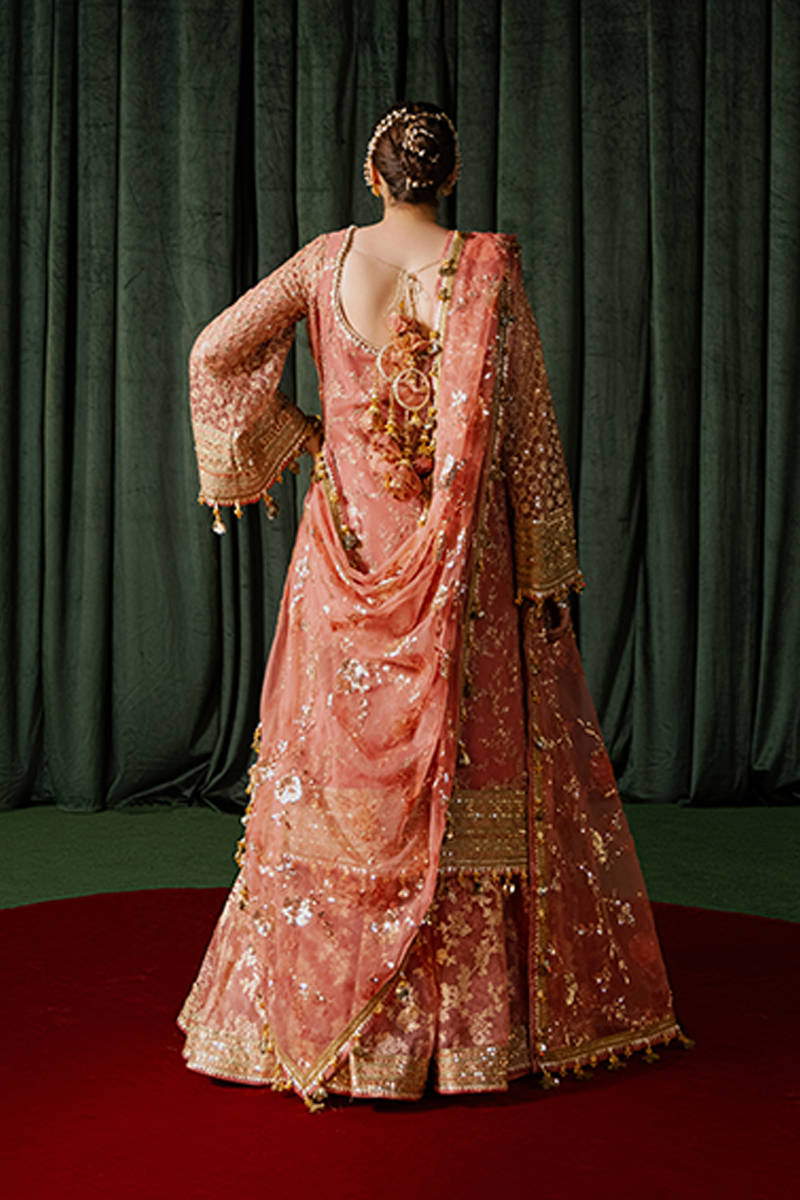 MNR | Zarlish Festive Formals | Guriya Rani XS Ash Pink Organza