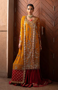 Emaan Adeel | Casabella Wedding Formals | SOLENE - Pakistani Designer Dress - by Emaan Adeel | Type: Ladies Clothes - 100% Original at Saira Sultan