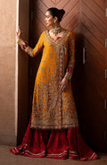 Emaan Adeel | Casabella Wedding Formals | SOLENE - Pakistani Designer Dress - by Emaan Adeel | Type: Ladies Clothes - 100% Original at Saira Sultan