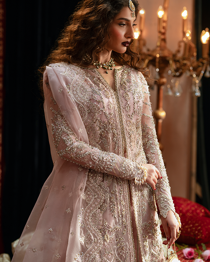 Zevk | Mughal Raniya | Nur Jahan Begum L Light Pink Organza