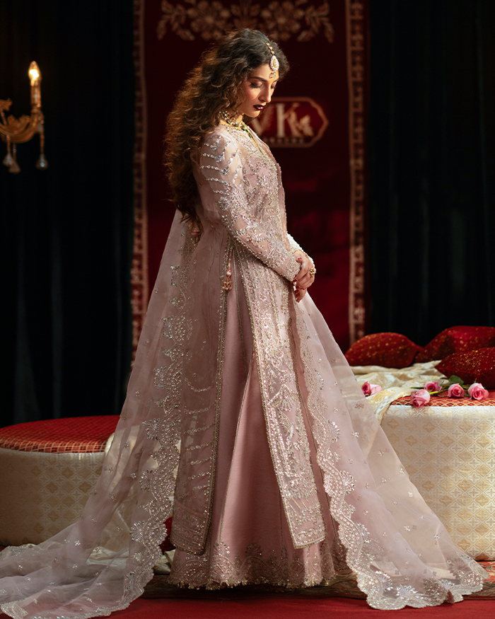 Zevk | Mughal Raniya | Nur Jahan Begum Custom Size Light Pink Organza