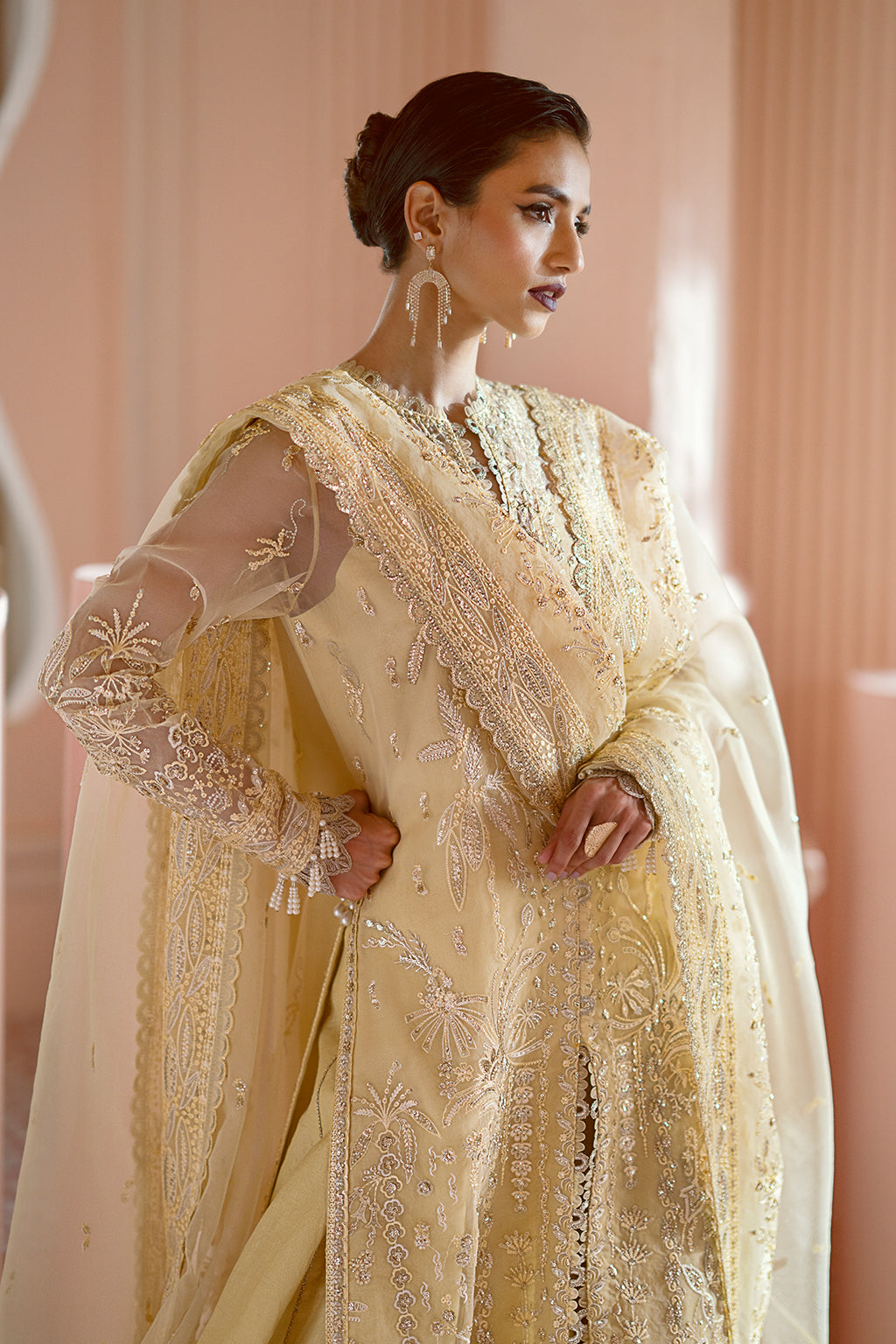 Ayzel | Luminara Wedding Formals | Leia - Pakistani Designer Dress - by Ayzel | Type: Formal - 100% Original at Saira Sultan