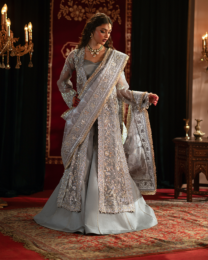 Zevk | Mughal Raniya | Mughal Rani L Gray Organza