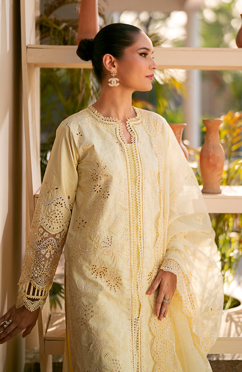 Emaan Adeel | Navaeh Luxury Pret | ADARA - Pakistani Designer Dress - by Emaan Adeel | Type: Luxury - 100% Original at Saira Sultan