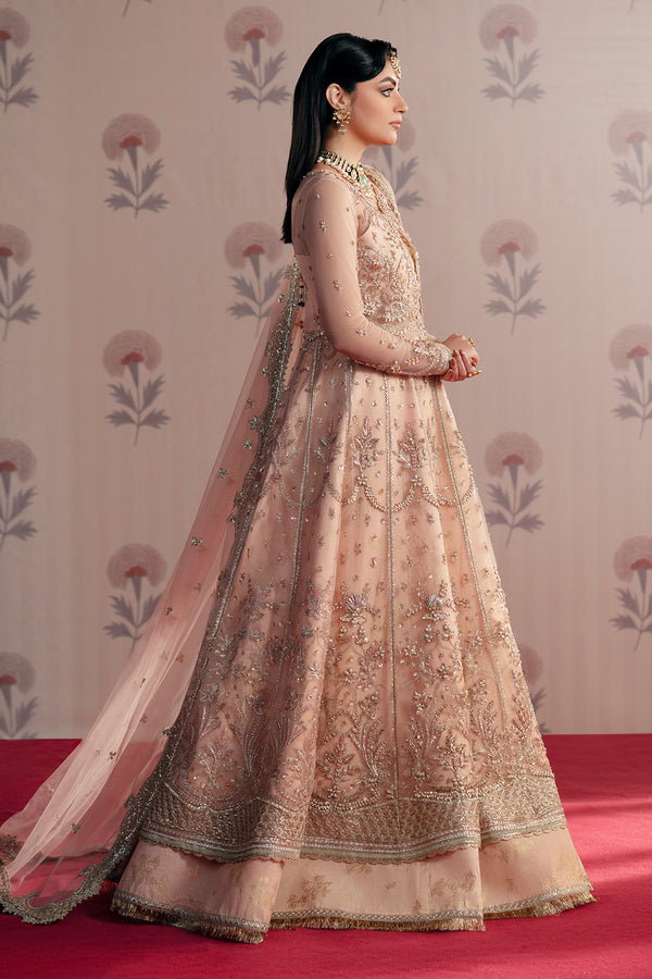 Zarposh | Maharani Wedding Collection | Dilara XL Peach Net