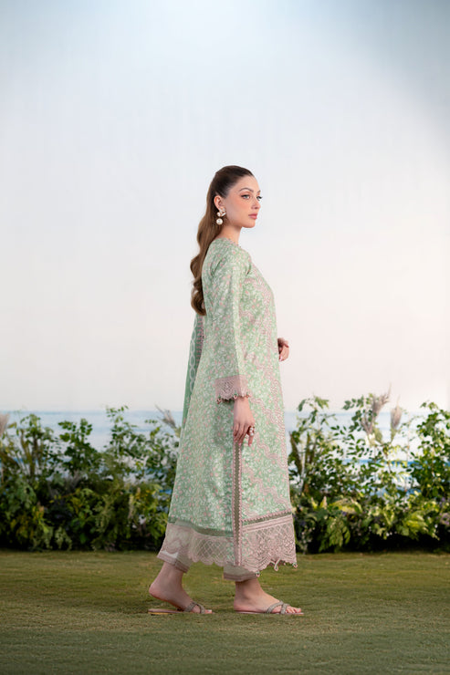 Aabyaan | Shezlin Chikankari Ramadan Edit 25 | EBRU (AR-16) L Mint Green Lawn
