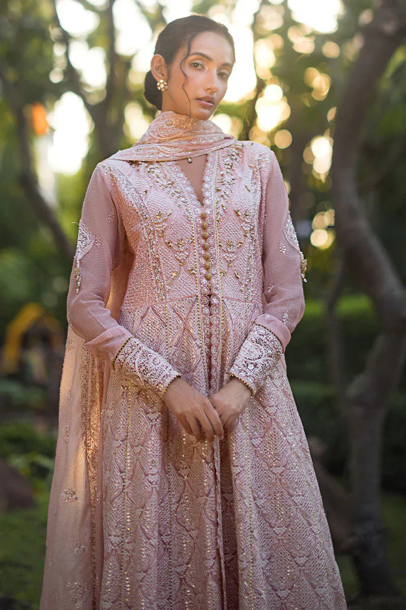 Mushq | Roohi Luxury Collection | Aanya - Pakistani Designer Dress - by Mushq | Type: Formal - 100% Original at Saira Sultan
