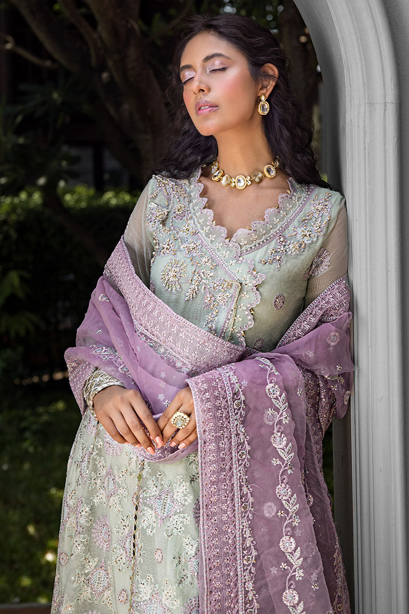 Mushq | Roohi Luxury Collection | Aara - Pakistani Designer Dress - by Mushq | Type: Formal - 100% Original at Saira Sultan