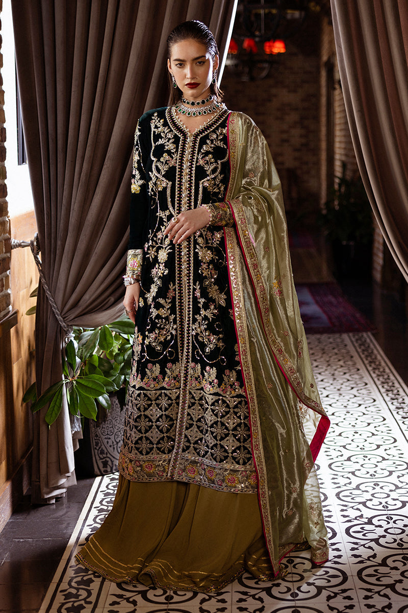 Mushq | Deja Vu Velvet | Nostalgic Shadows - Pakistani Designer Dress - by Mushq | Type: Ladies Clothes - 100% Original at Saira Sultan